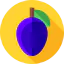 Plum icon 64x64