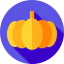 Pumpkin biểu tượng 64x64