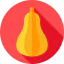 Squash icon 64x64