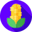 Corn icon 64x64