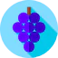 Grapes 상 64x64