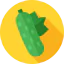 Cucumber icon 64x64