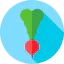 Radish icon 64x64