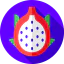 Dragon fruit アイコン 64x64
