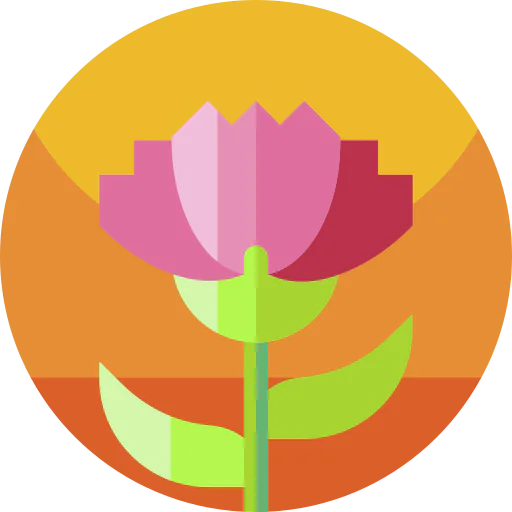 Carnation icon