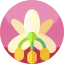 Flower іконка 64x64