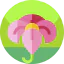 Flower іконка 64x64