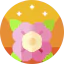 Flower іконка 64x64