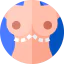 Mastopexy icon 64x64