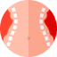 Liposuction Ikona 64x64