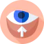 Blepharoplasty icon 64x64