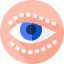 Blepharoplasty icon 64x64