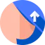 Mastopexy icon 64x64