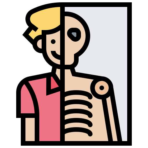X rays icon