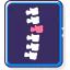 Anatomy icon 64x64