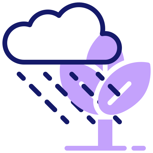 Rainy icon