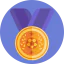 Medal ícono 64x64