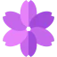 Flower іконка 64x64