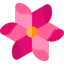 Flower іконка 64x64