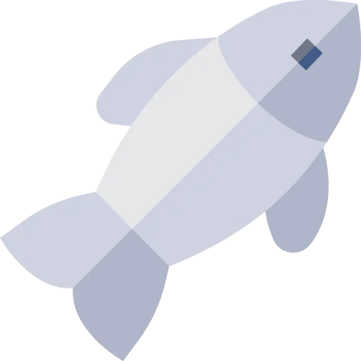 Fish icon