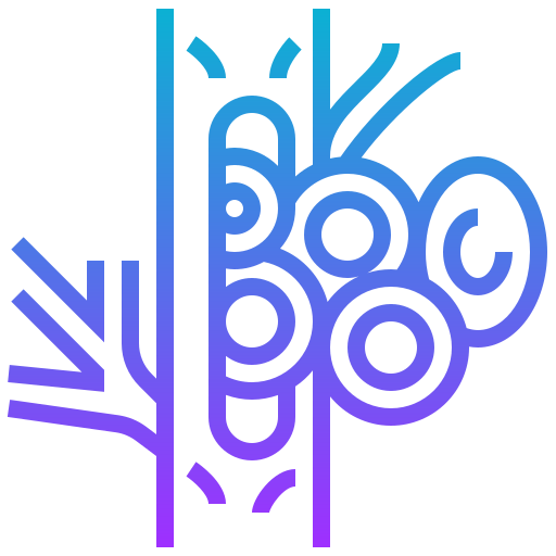 Hemoglobin icon