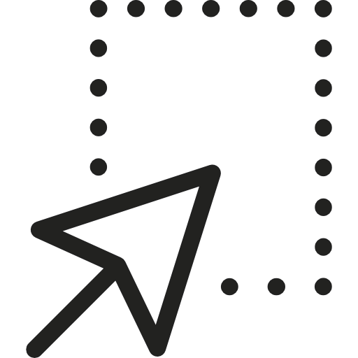 Selection Option icon