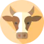 Beef icon 64x64