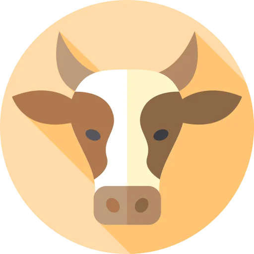 Beef icon