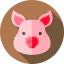 Pork icon 64x64