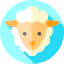 Lamb icon 64x64