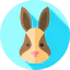 Rabbit іконка 64x64