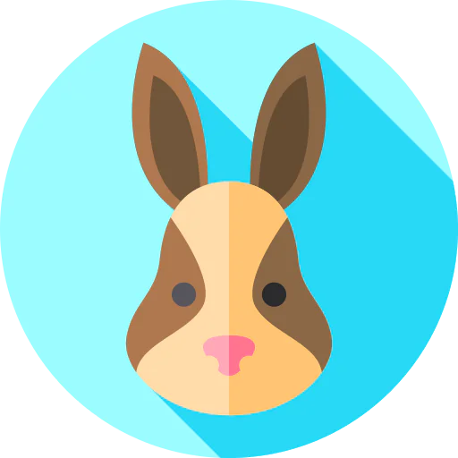 Rabbit icon