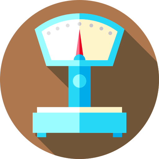 Scale icon