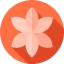 Lotus icon 64x64