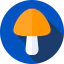 Mushroom icon 64x64
