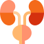 Kidneys Symbol 64x64