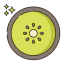 Kiwi icon 64x64