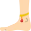 Ankle icon 64x64