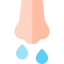 Runny nose 图标 64x64