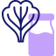 Lettuce icon 64x64