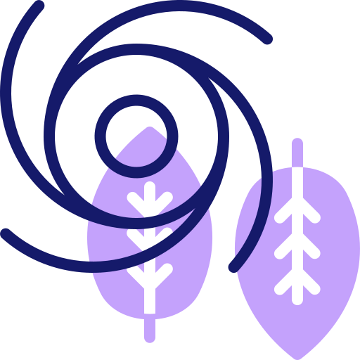 Cyclone icon
