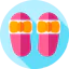 Slippers icon 64x64