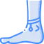 Ankle icon 64x64