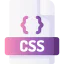 Css icon 64x64
