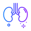 Kidneys Symbol 64x64