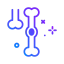 Bones icon 64x64