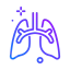 Lungs ícono 64x64