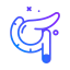 Pancreas 상 64x64