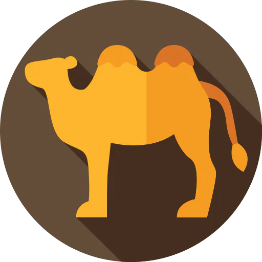 Camel icon