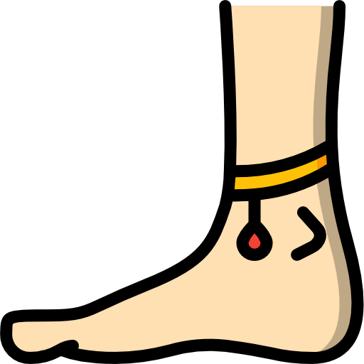 Ankle icon